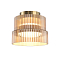 Maytoni MOD518CL-L12BS3K