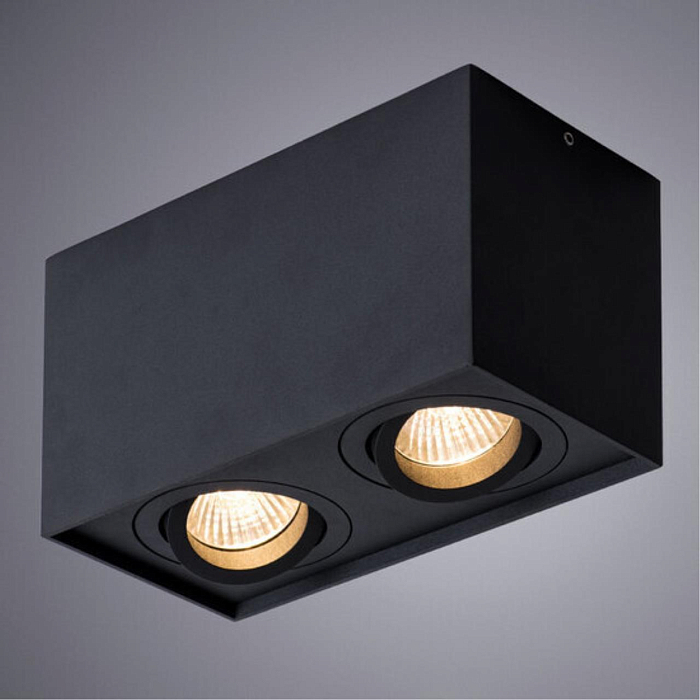 Светильник ARTE LAMP A5544PL-2BK